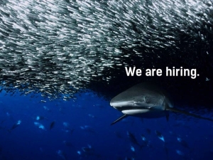 10941239_990688507626891_1211818249_n