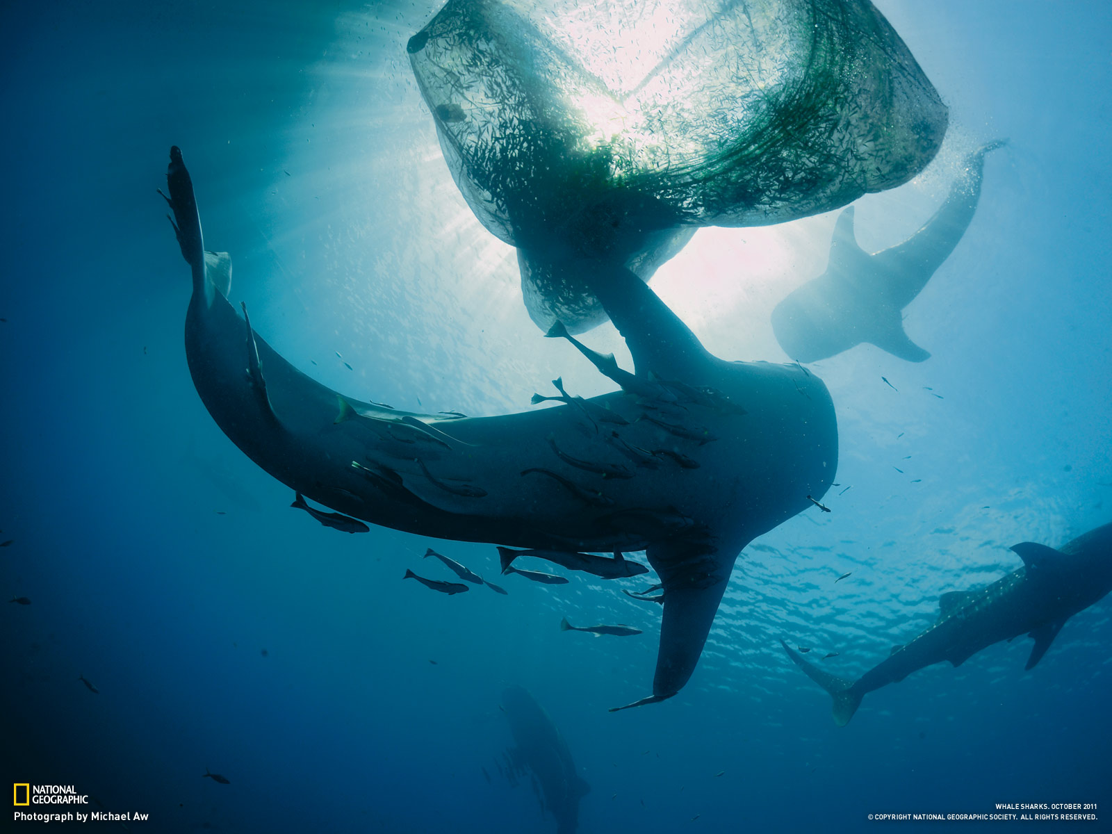 5 našich key challenges pro 2015