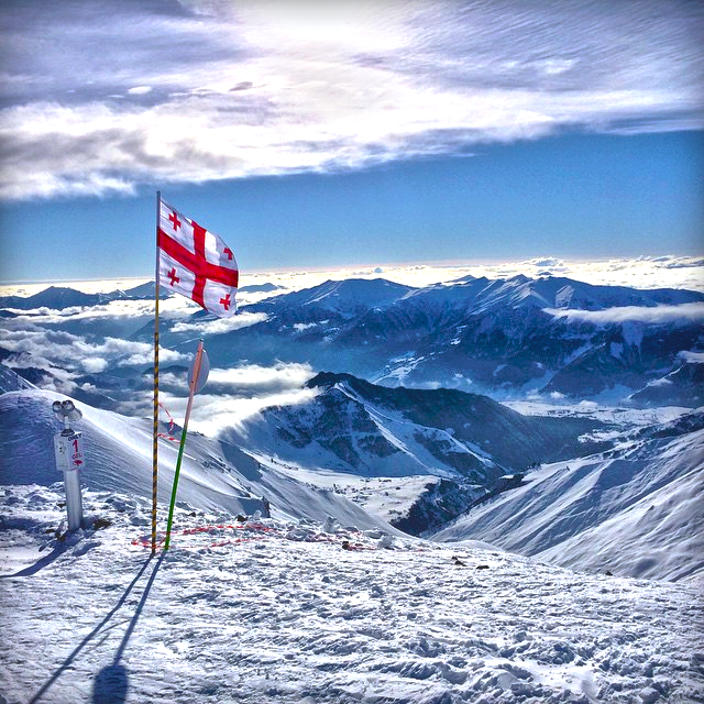 SOCIALSHARKS GRUZIE: Po 2 letech jedničkou na trhu