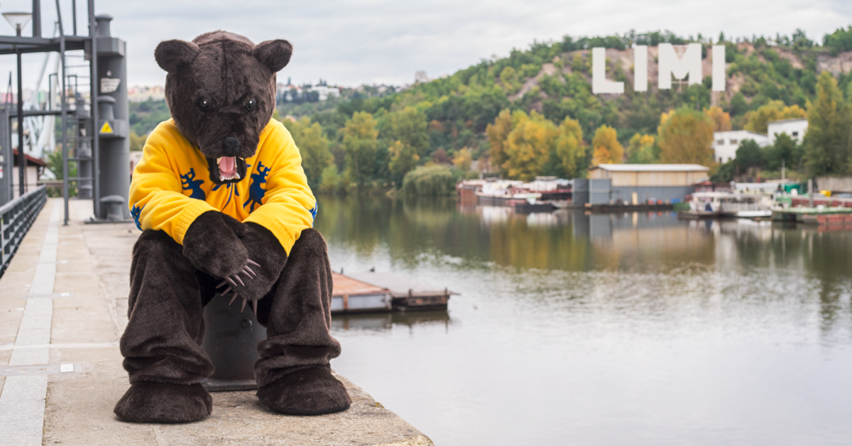 Případovka: Big Shock! Winter Edition – Jak medvěd prodával limitky