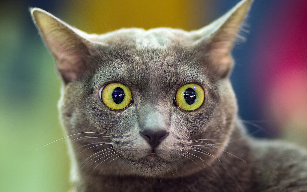 Návod: Na délce záleží aneb jak investovat