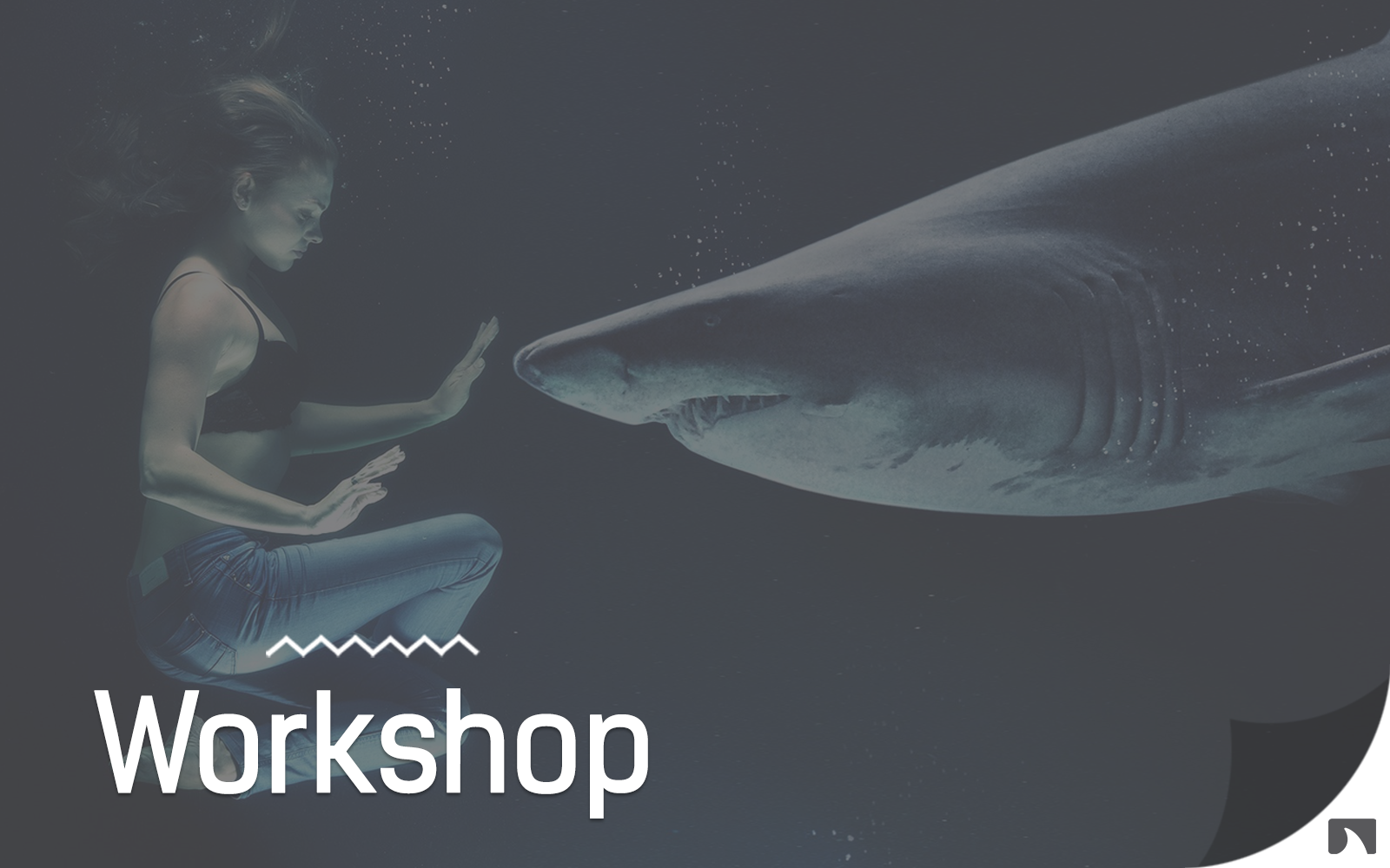 Z akvárka: Neziskovky aneb když Žraloci nekoušou